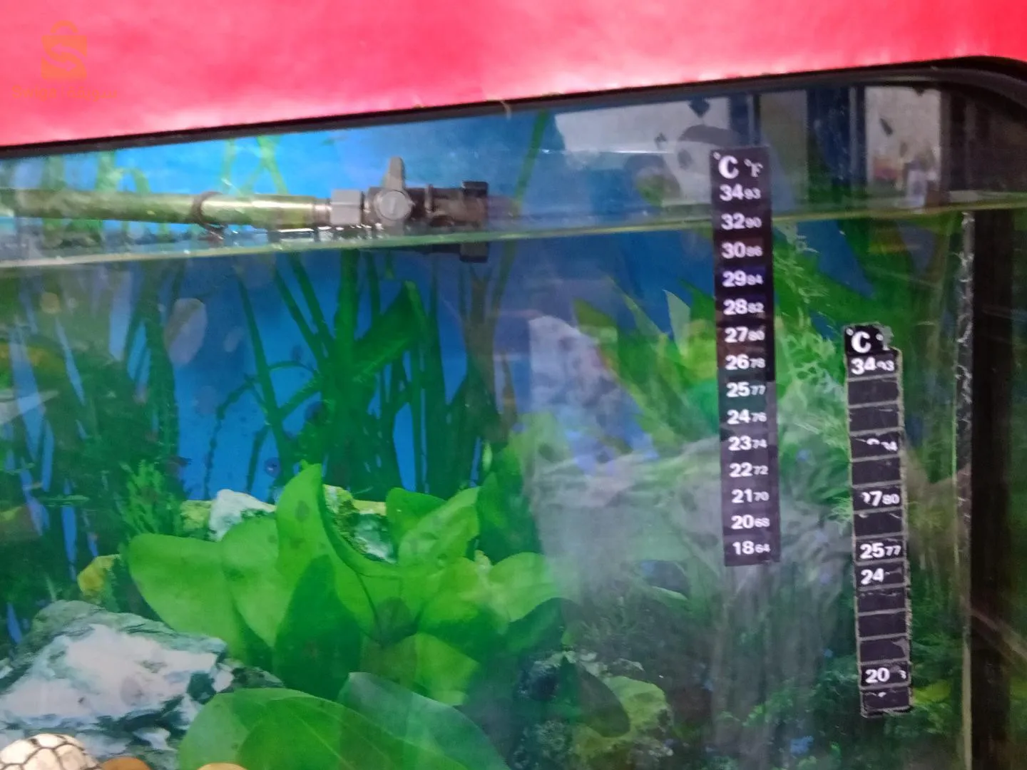 aquarium  le prix est négociable