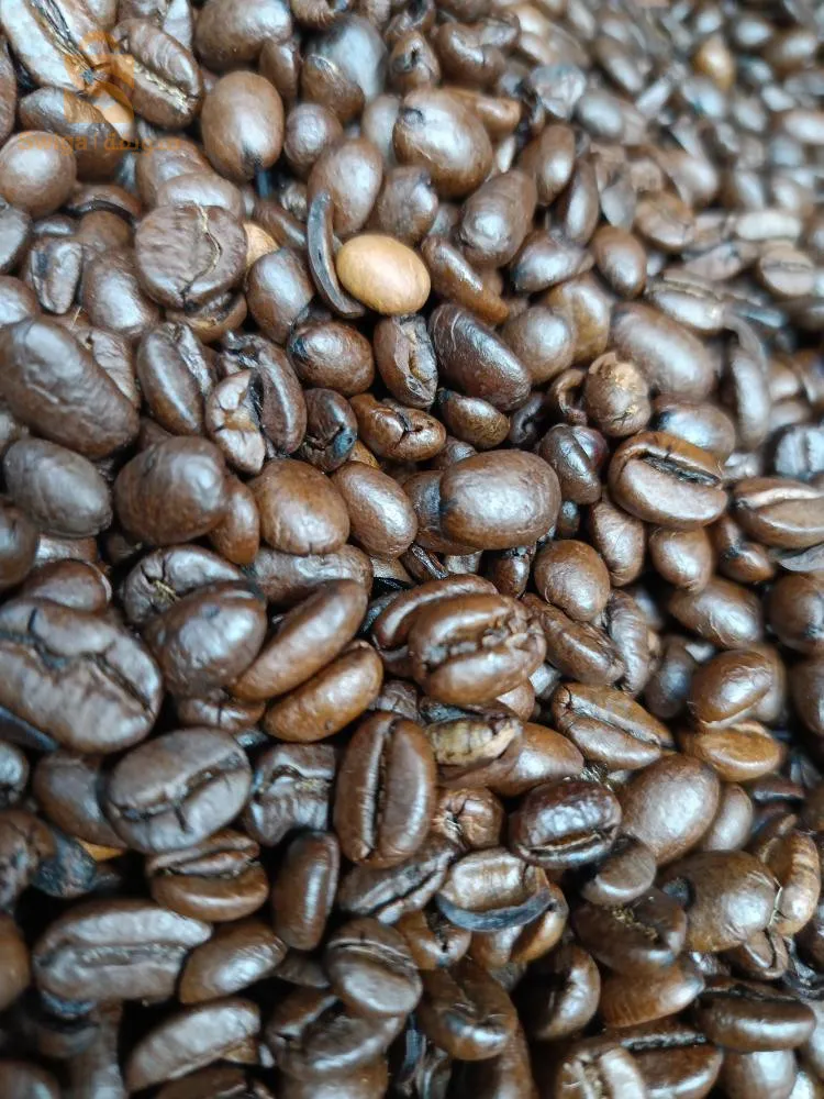 قهوة ارابيكا جودة عالية