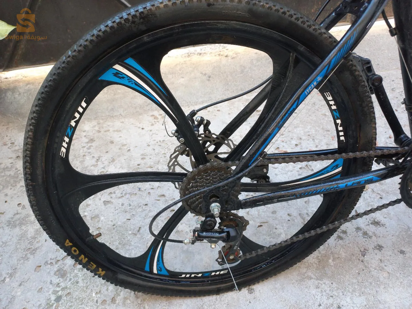 فيلو نقية للبيع مزالها جديدة