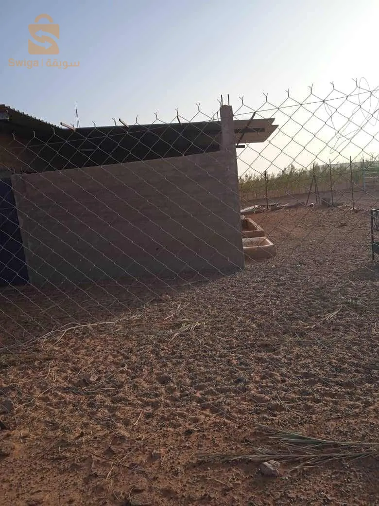 طريق الفنادسة بشار
