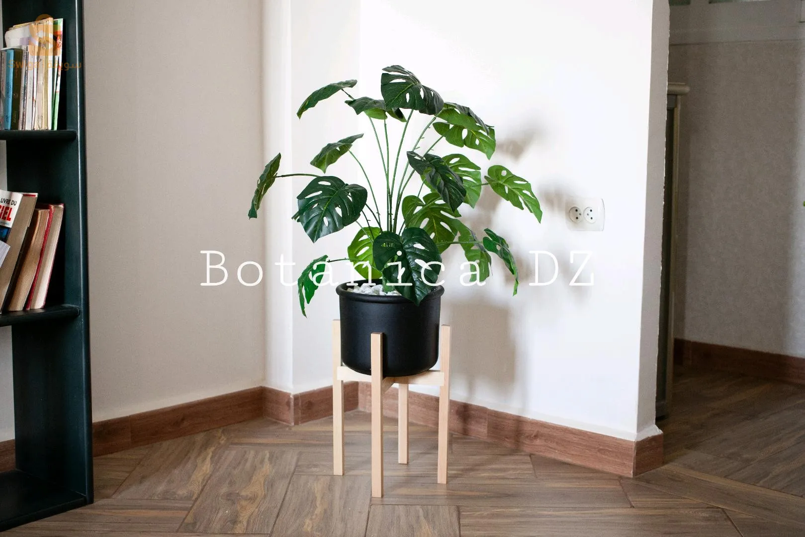 plantes d'intérieur ☘️ artificielles et naturelles avec pot en terre cuite et support en bois ou en fer ❤️