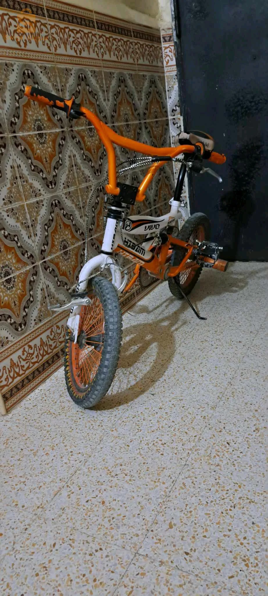 الشريعة ولاية تبسة