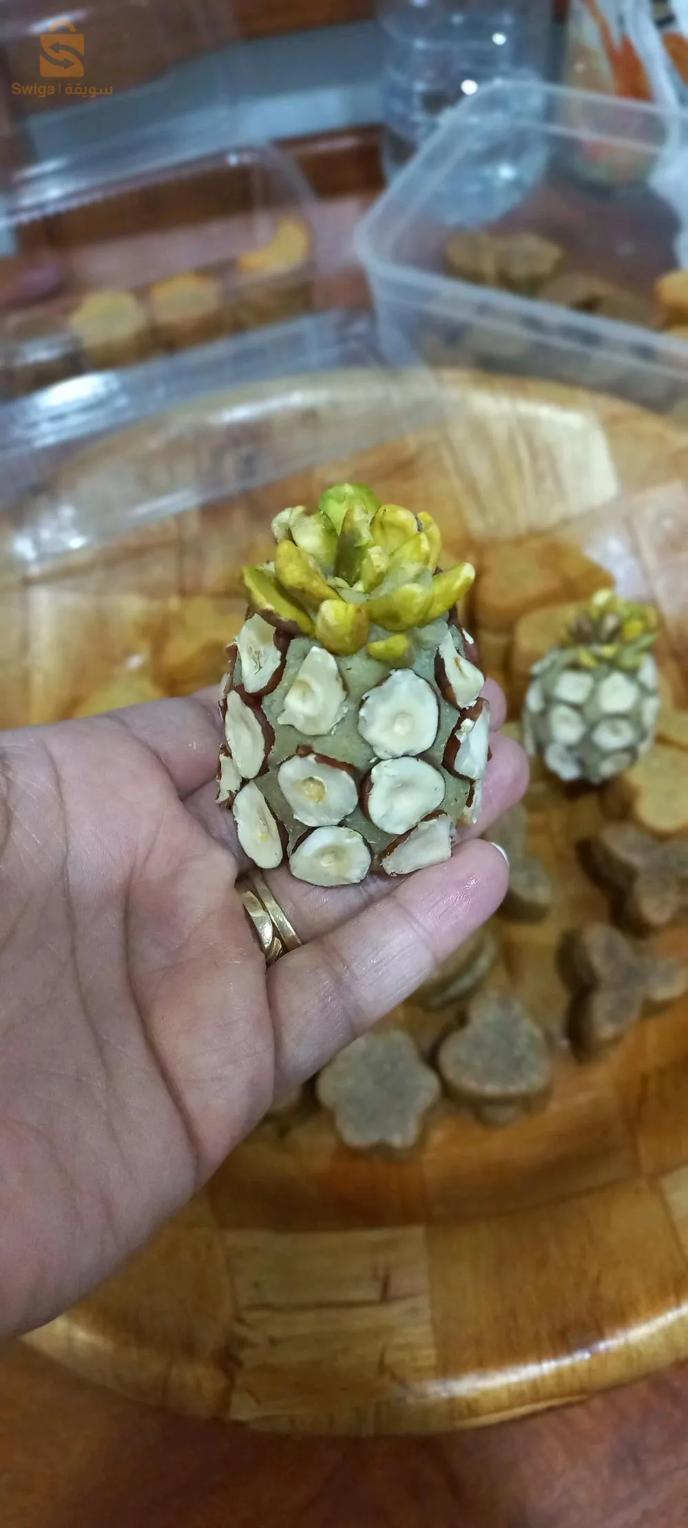 المدينة الجديدة