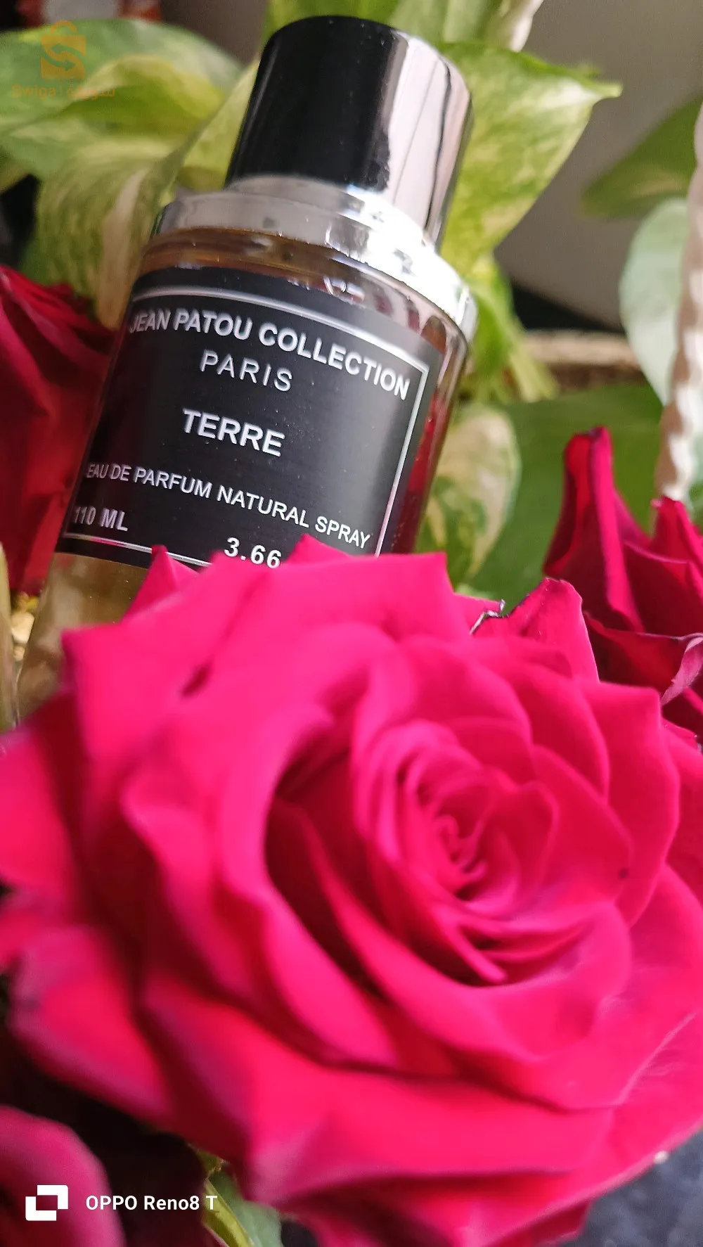 بارفان اصلي