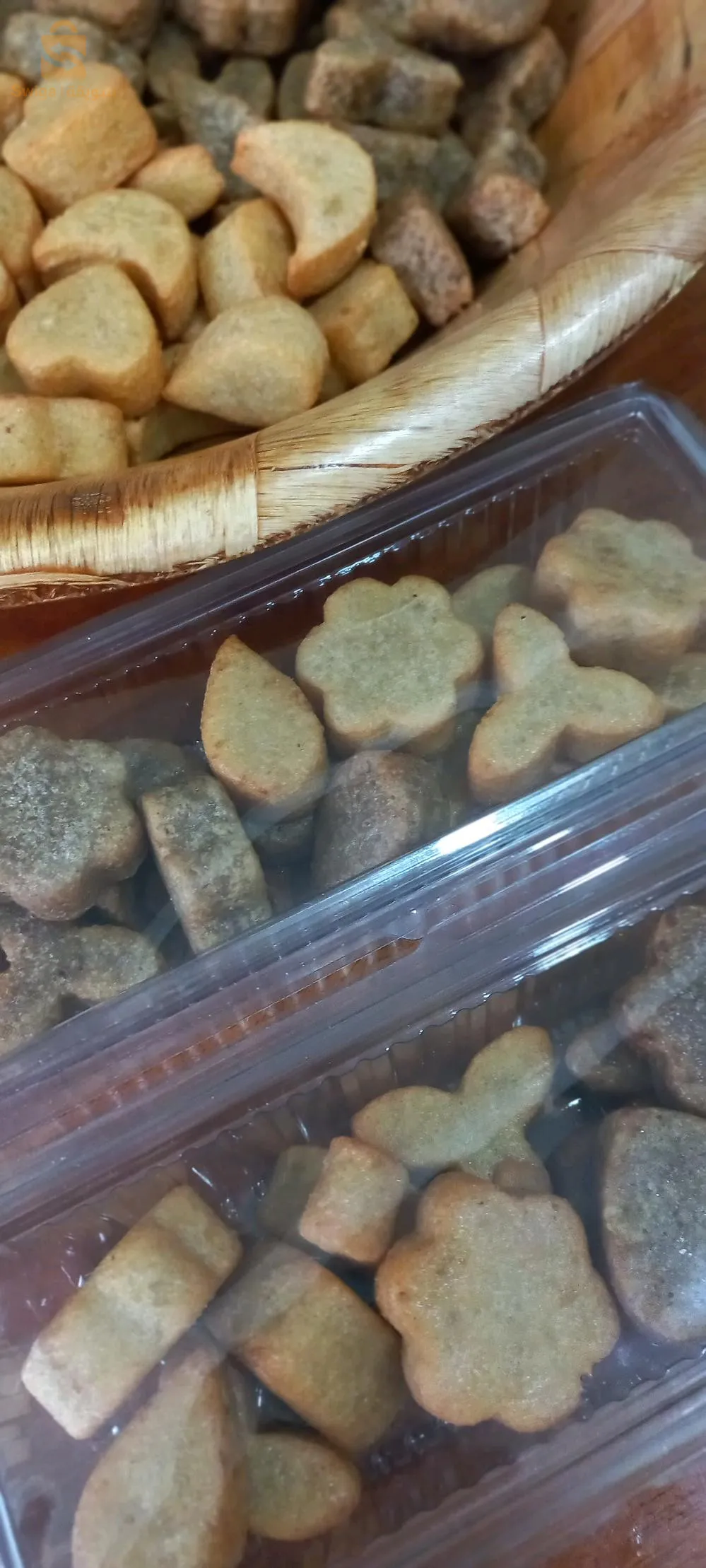 المدينة الجديدة