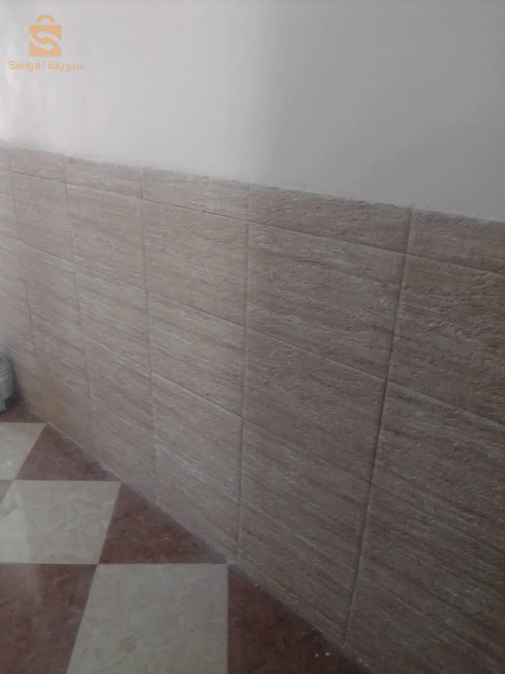 دهان محترف في فن الصباغة