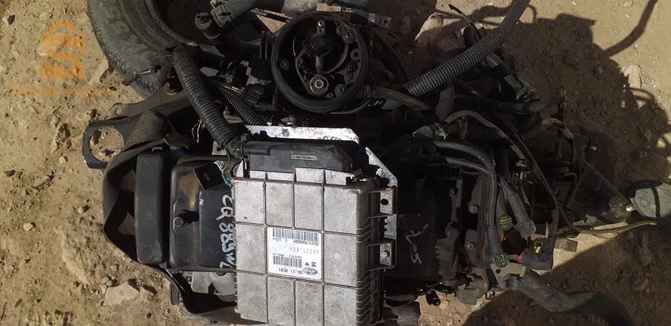 المريج ولاية تسبة