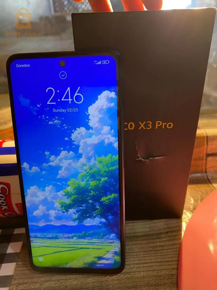 جميع الولايات