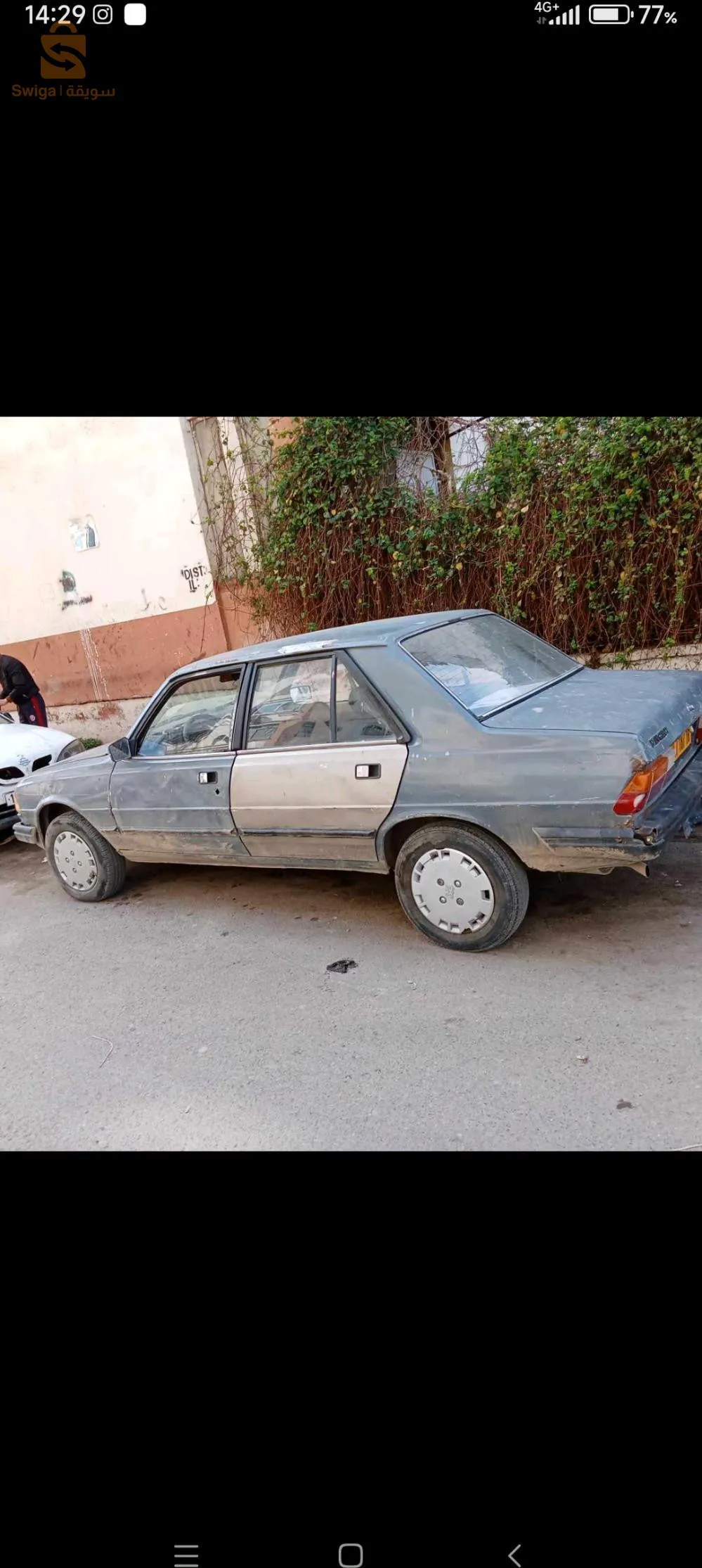 الكاليتوس