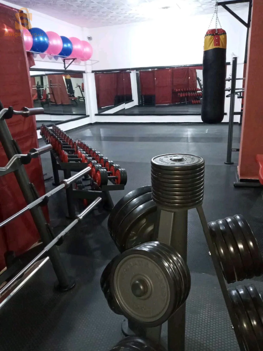 matériel salle de sport marque panatta d'origine