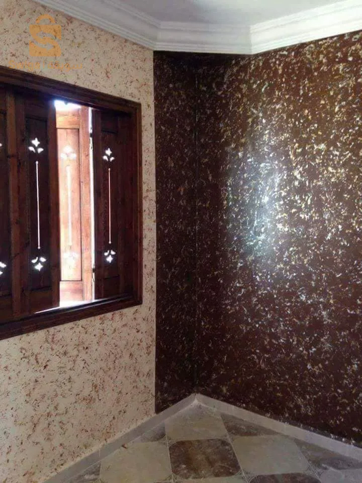 دهان محترف في فن الصباغة