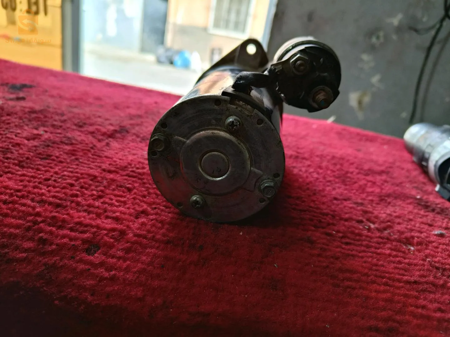 ابو معشر الخالدية (زرع) وهران