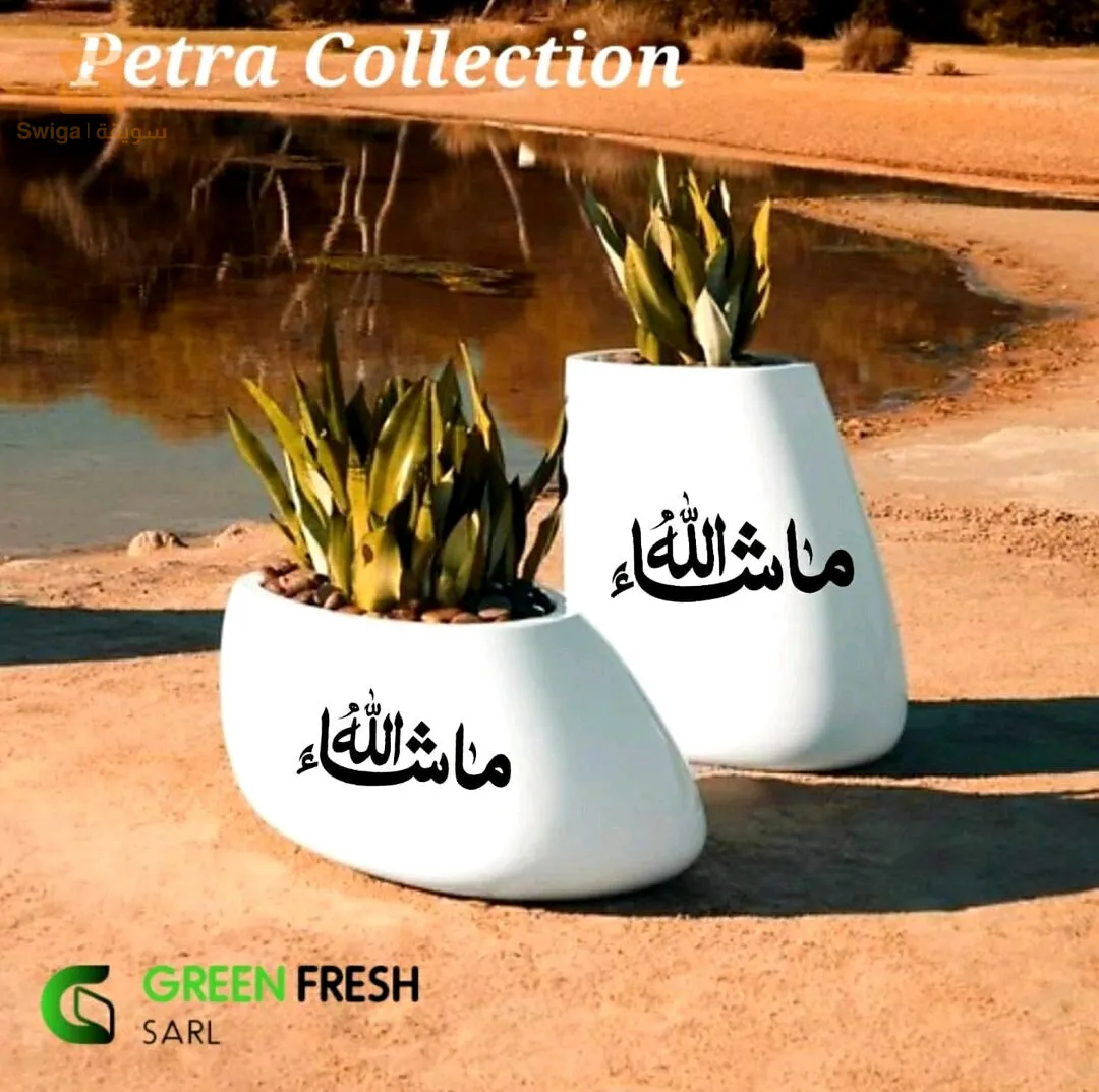 je vous propose des pots. des salons lampe à d'air. pour décoration intérieur ou extérieur plus d'informations me connecter sur le 0657919466