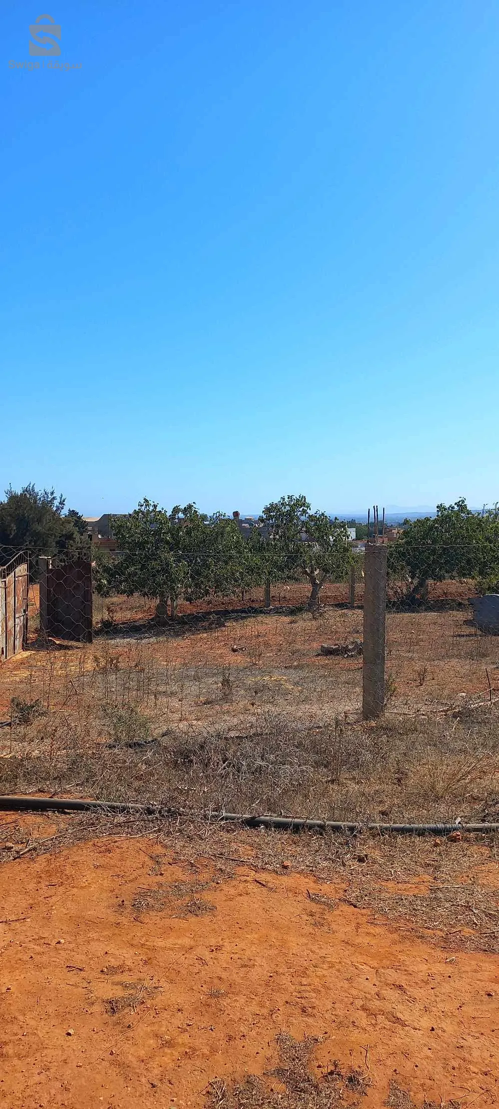 دوار غوايزية