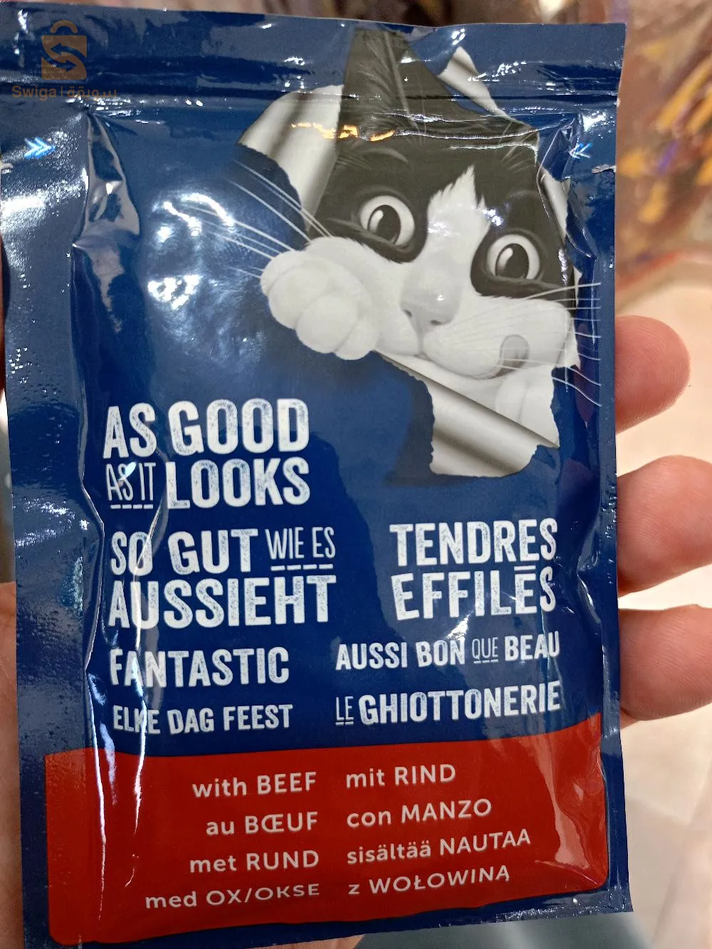 GELÉE felix pour chat gros