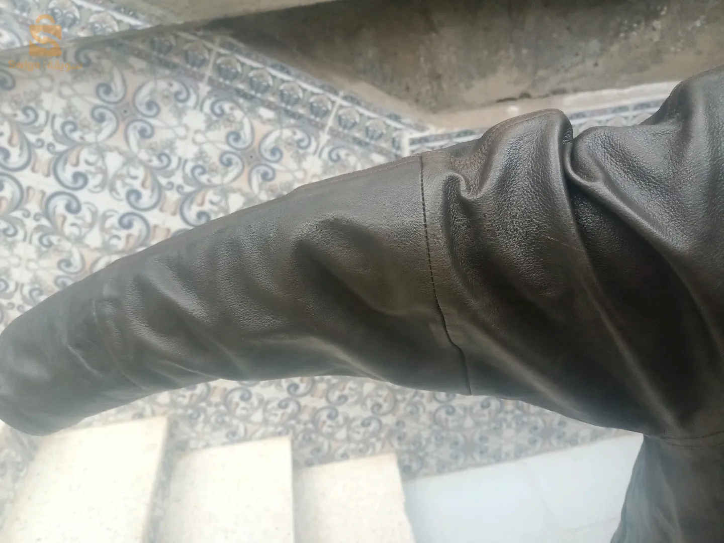 المدية