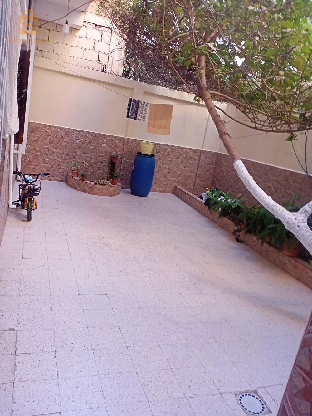 Vila a vendre au niveau de bordj el kiffen.cite Ali Sadek 150m.batis 130, rez-de-chaussée deux garages et studio،deux appartement finie première et deuxième étage, troisième pas encore,avec tt commodités.. décision et permis de construire première main ✋
Sawmouna 37