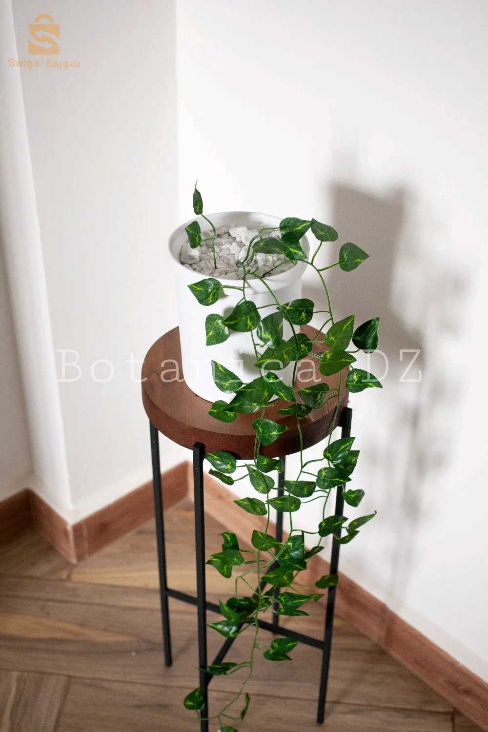 plantes d'intérieur ☘️ artificielles et naturelles avec pot en terre cuite et support en bois ou en fer ❤️