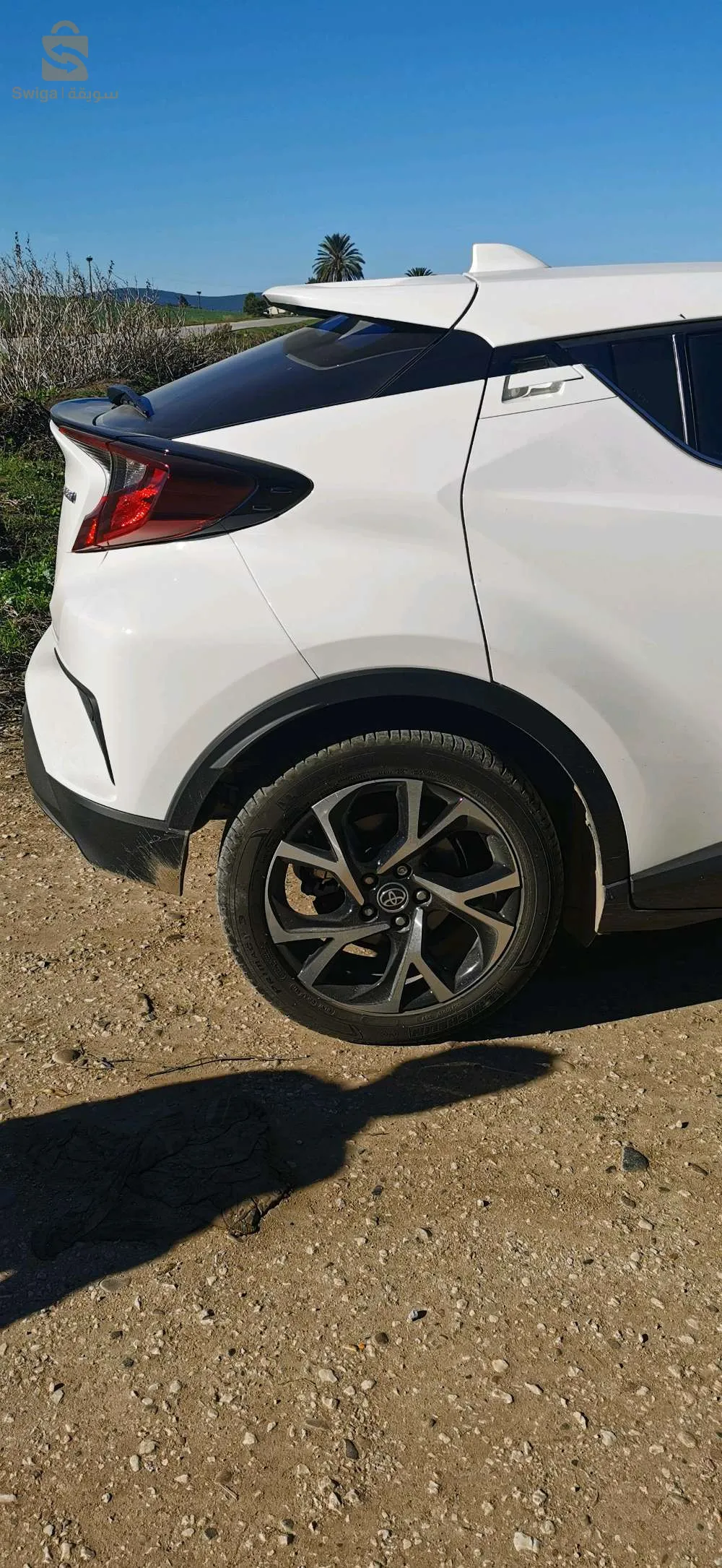 بلدية الذرعان ولاية الطارف