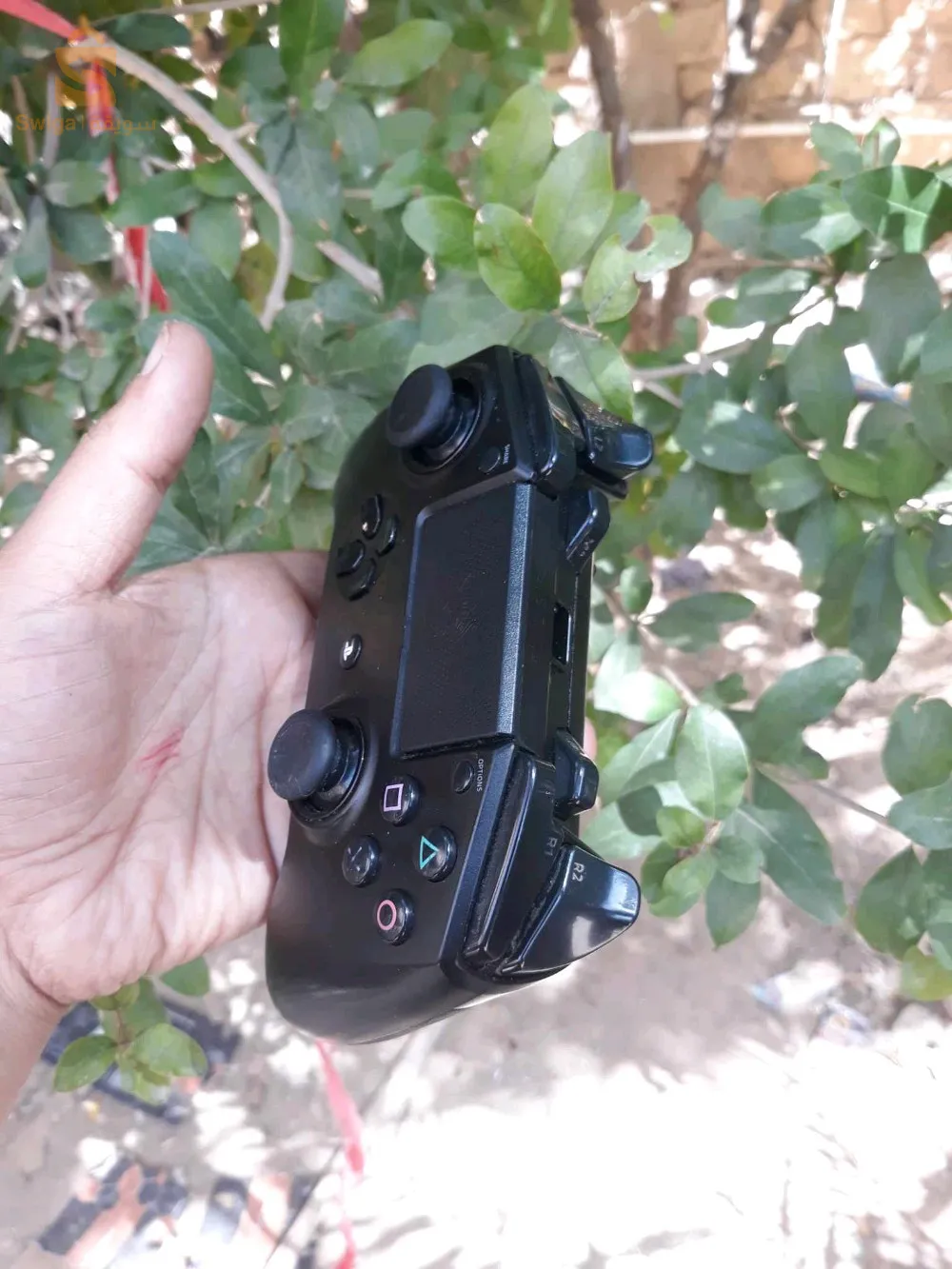 سيدي عيسى/ المسيلة