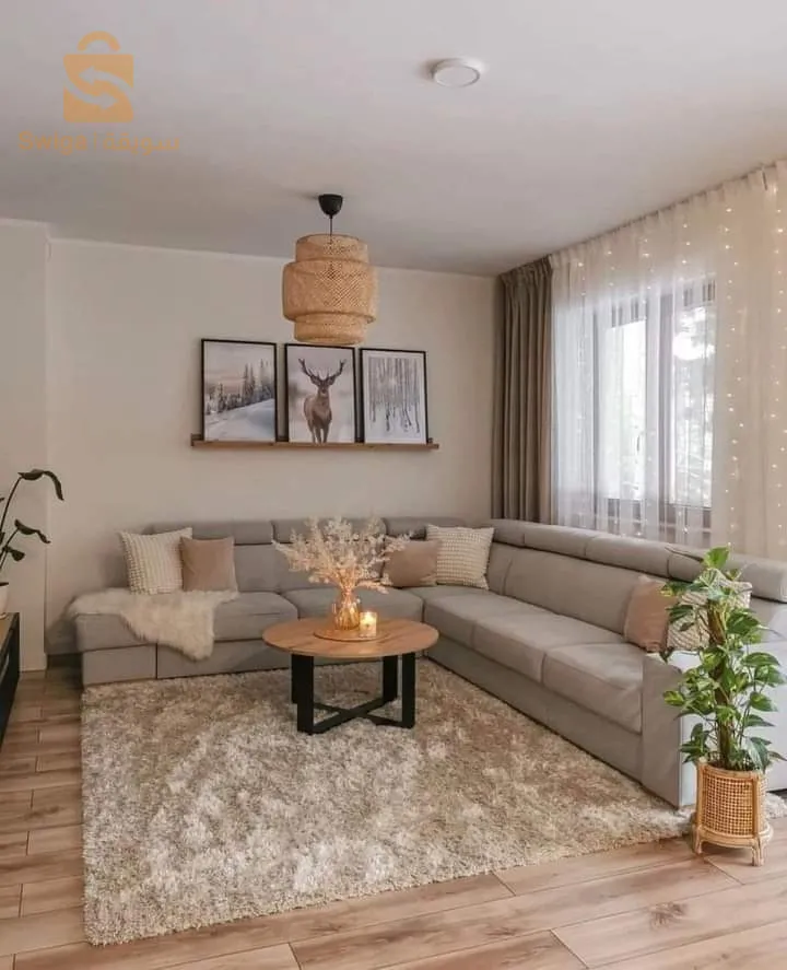 طلاء المنزل