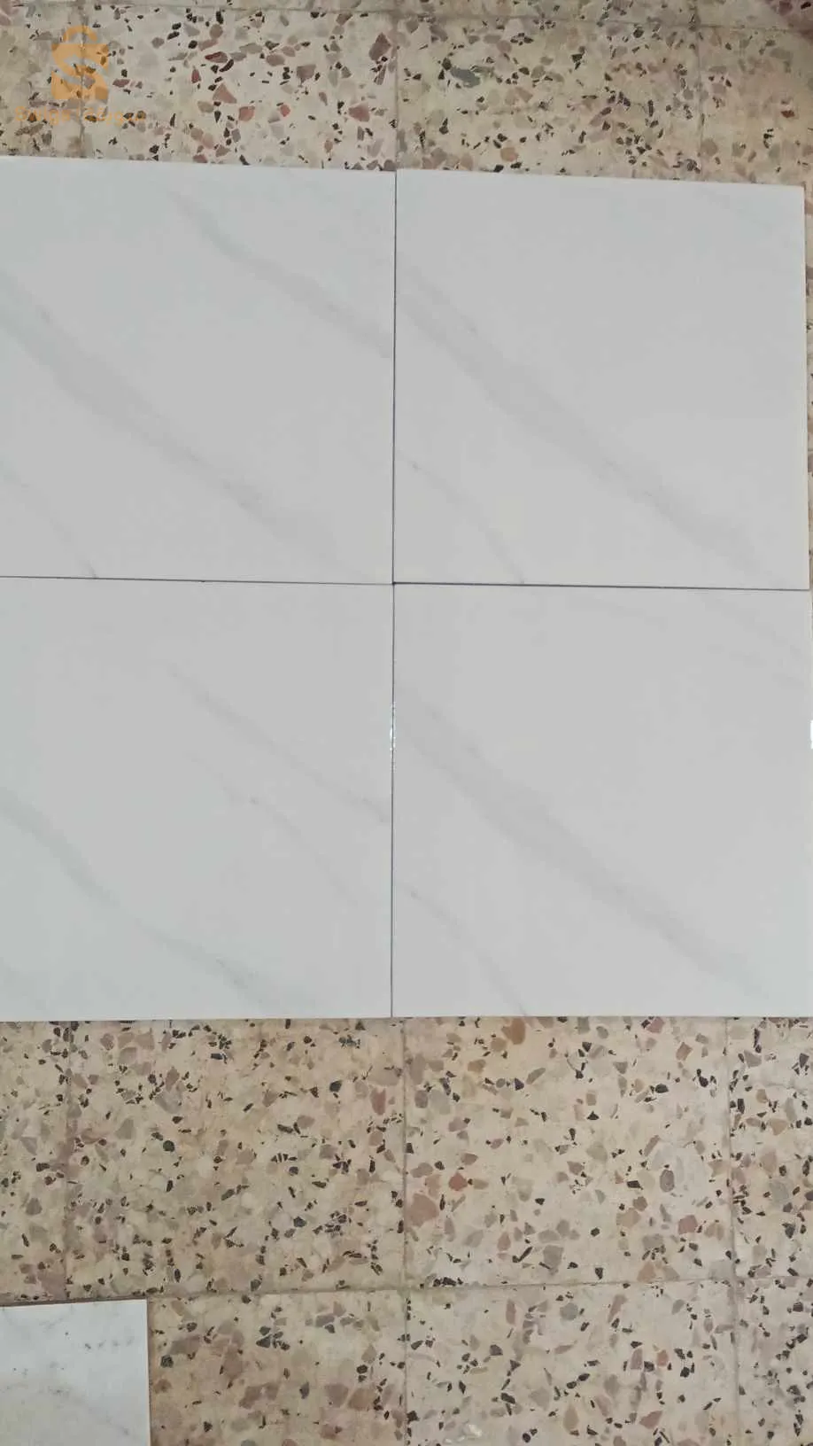 فايونص دالدوصول 50الف للمتر تاع زوالي كاين توصيل_ 0798701569_