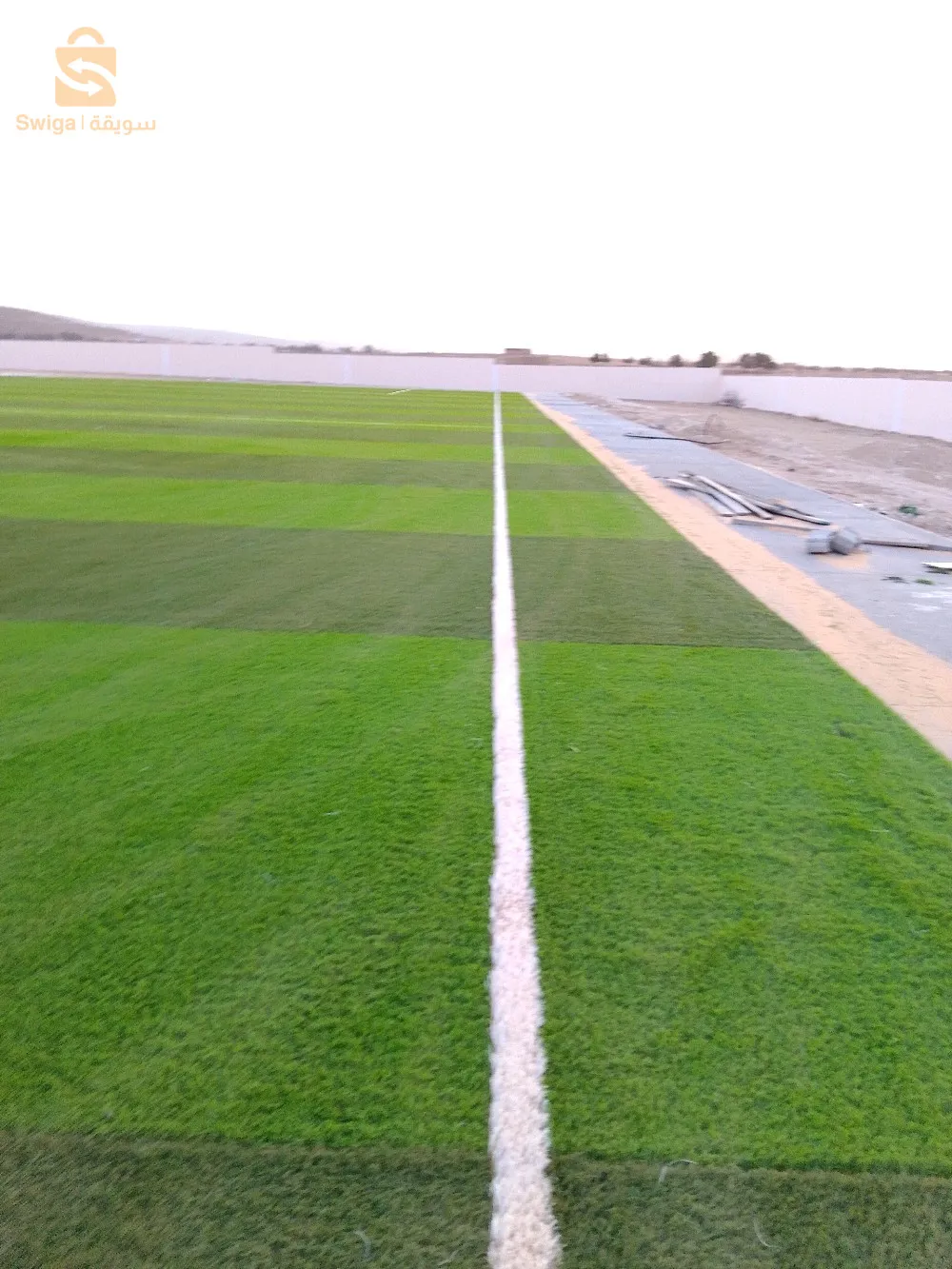 عشب اصطناعي