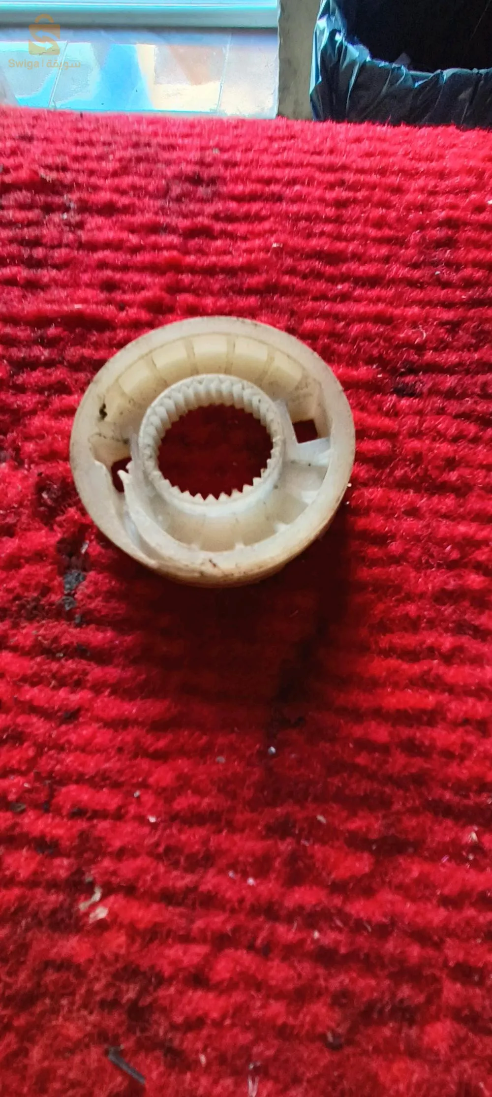 شارع ابو معشر الخالدية( زرع) وهران