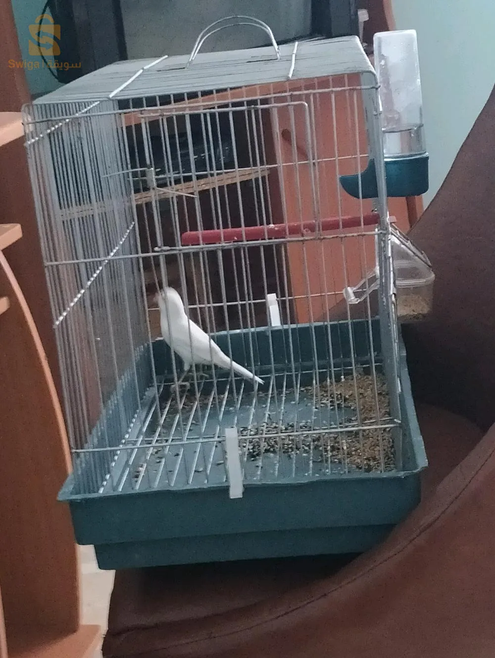 فمال واجدة عمرها عام ونصف