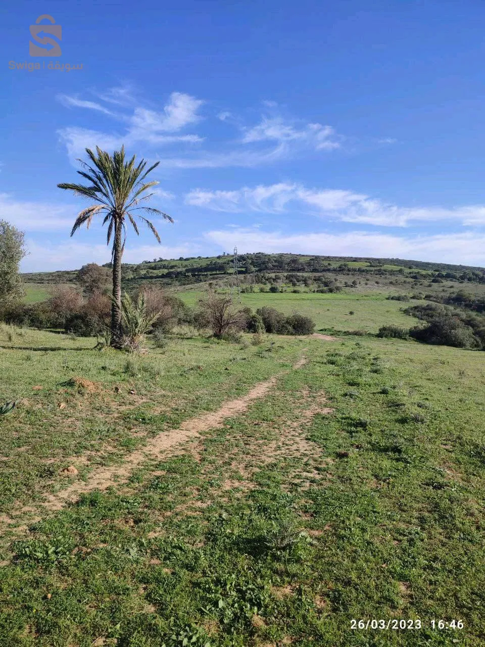 قطعة ارض بناء 3.6 هكتار للبيع سكيكدة الحدائق