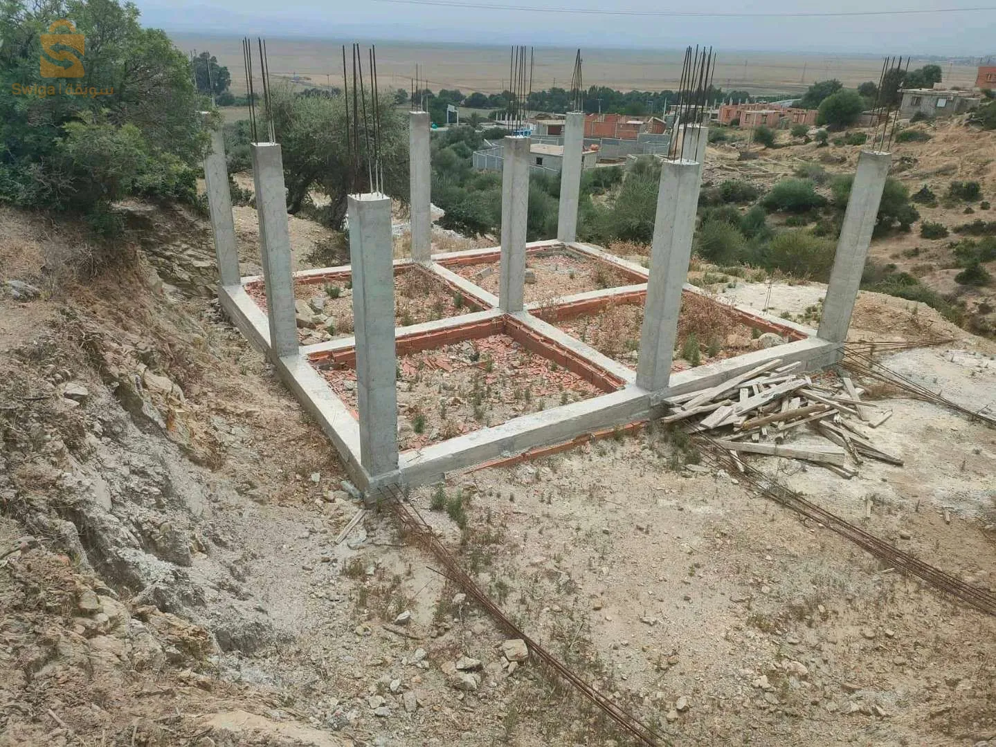 عايب عمار