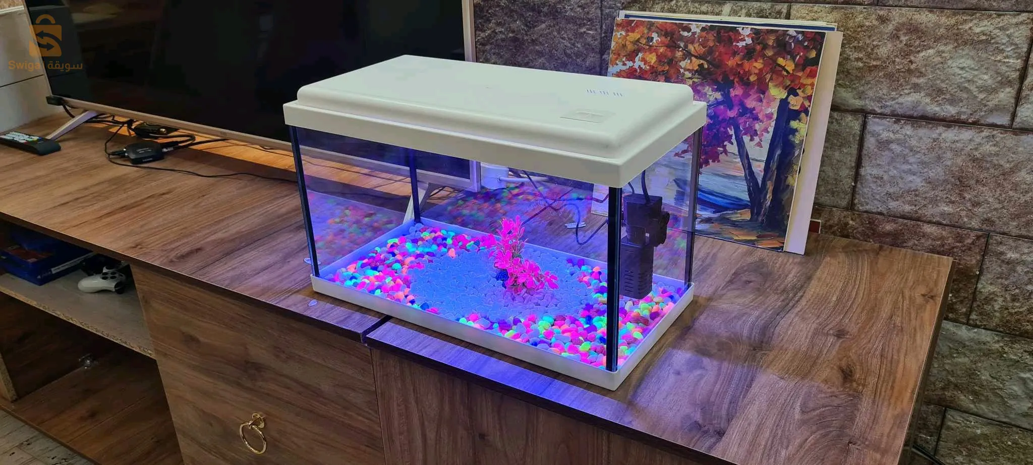 Aquarium