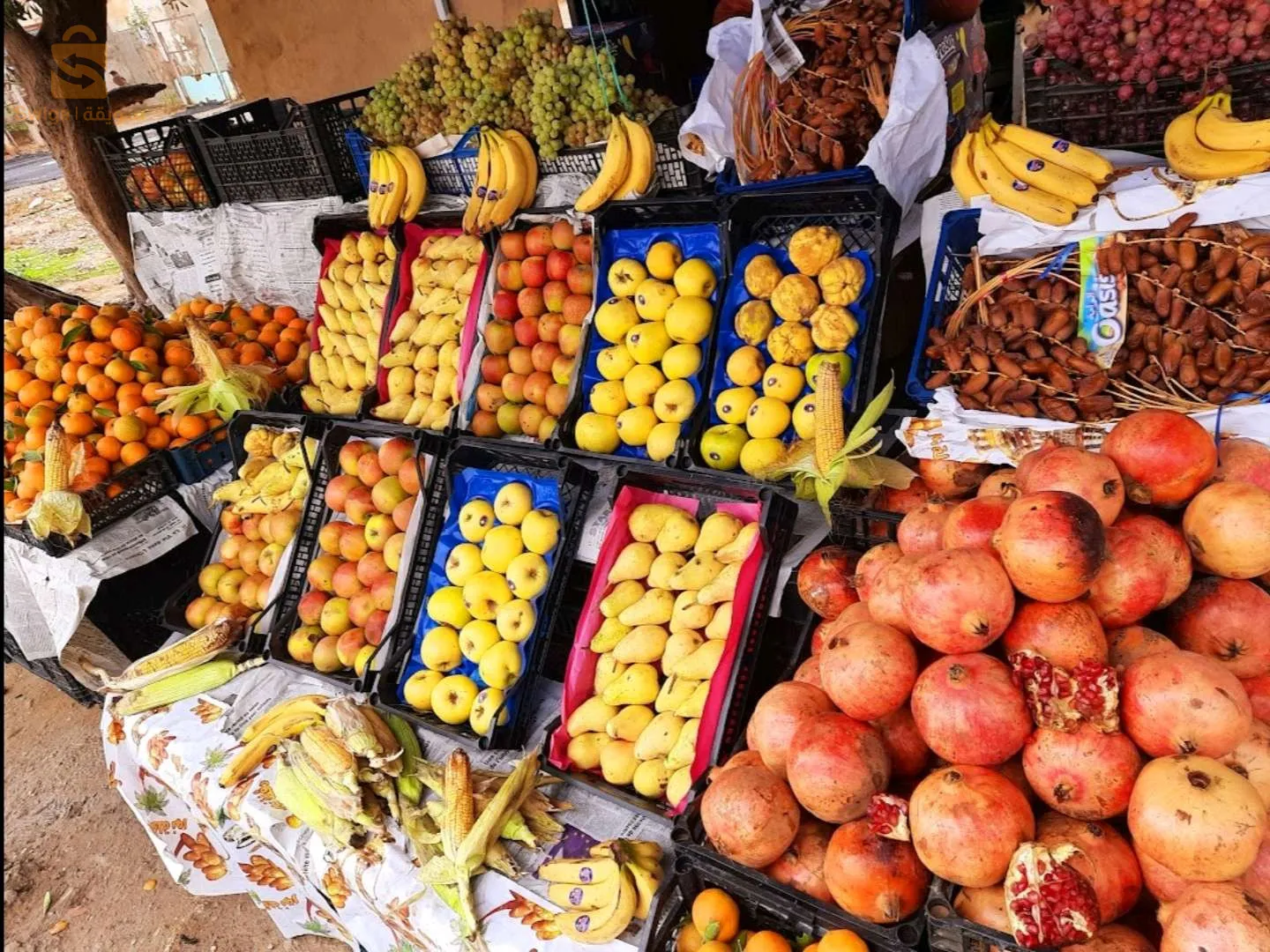 بيت الزعيم للفواكه