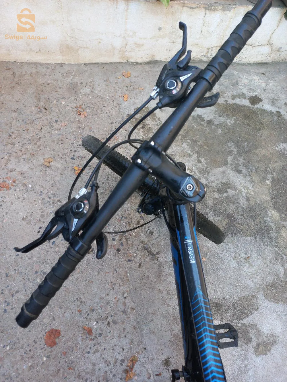 فيلو نقية للبيع مزالها جديدة