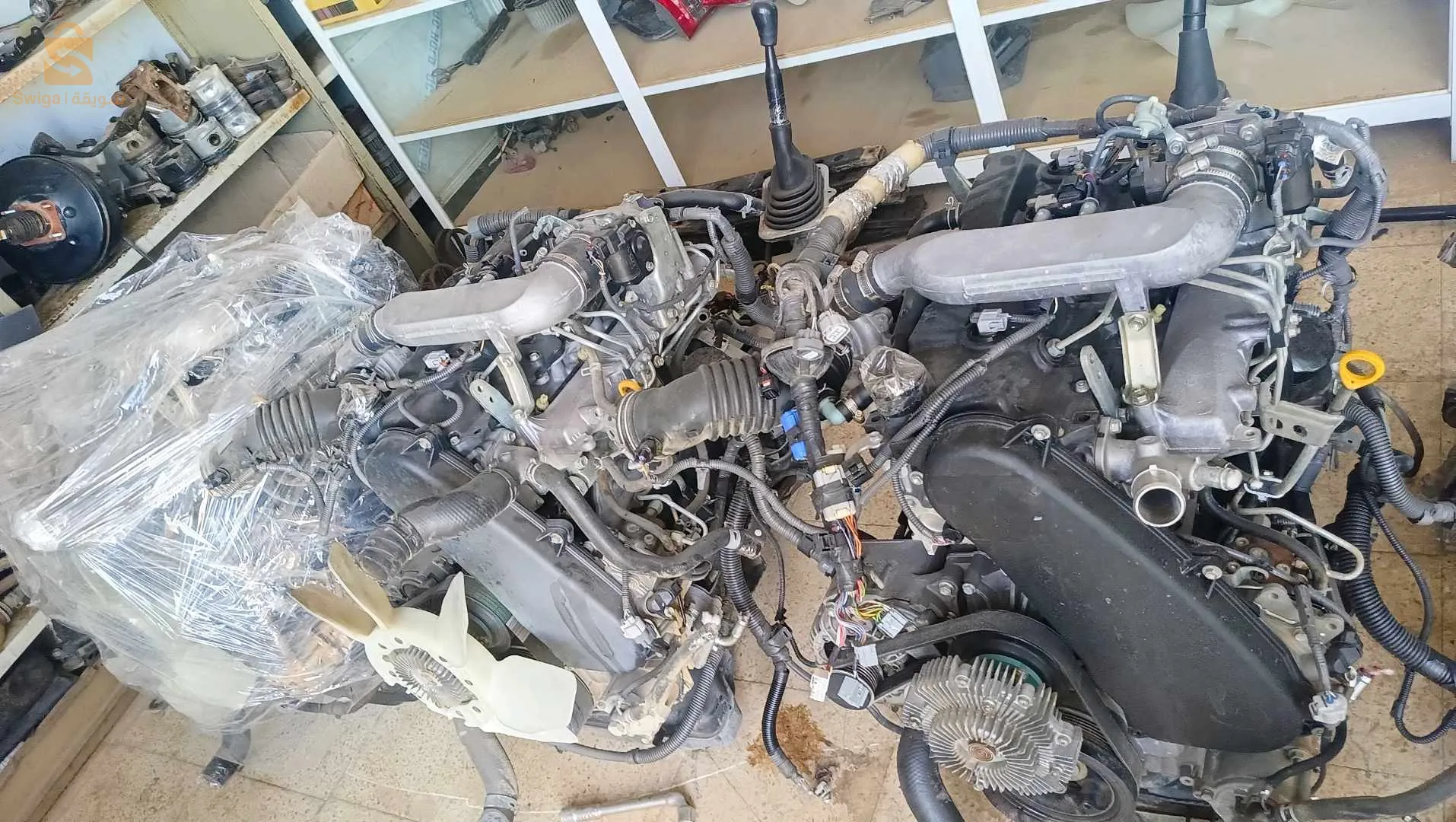 باتنة رقم الهاتف 0675915979