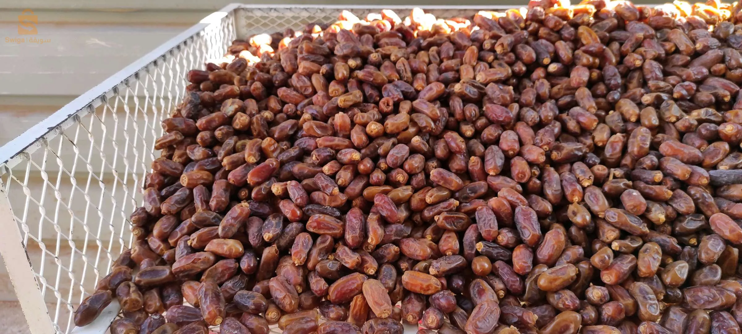 تمر الحميرة