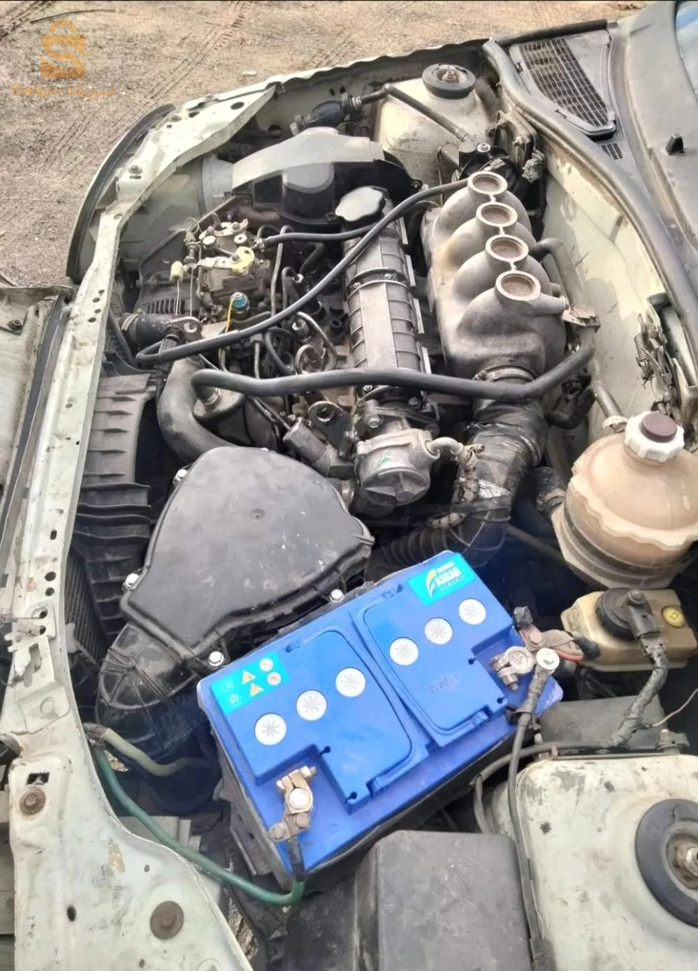 كليو جابونيه