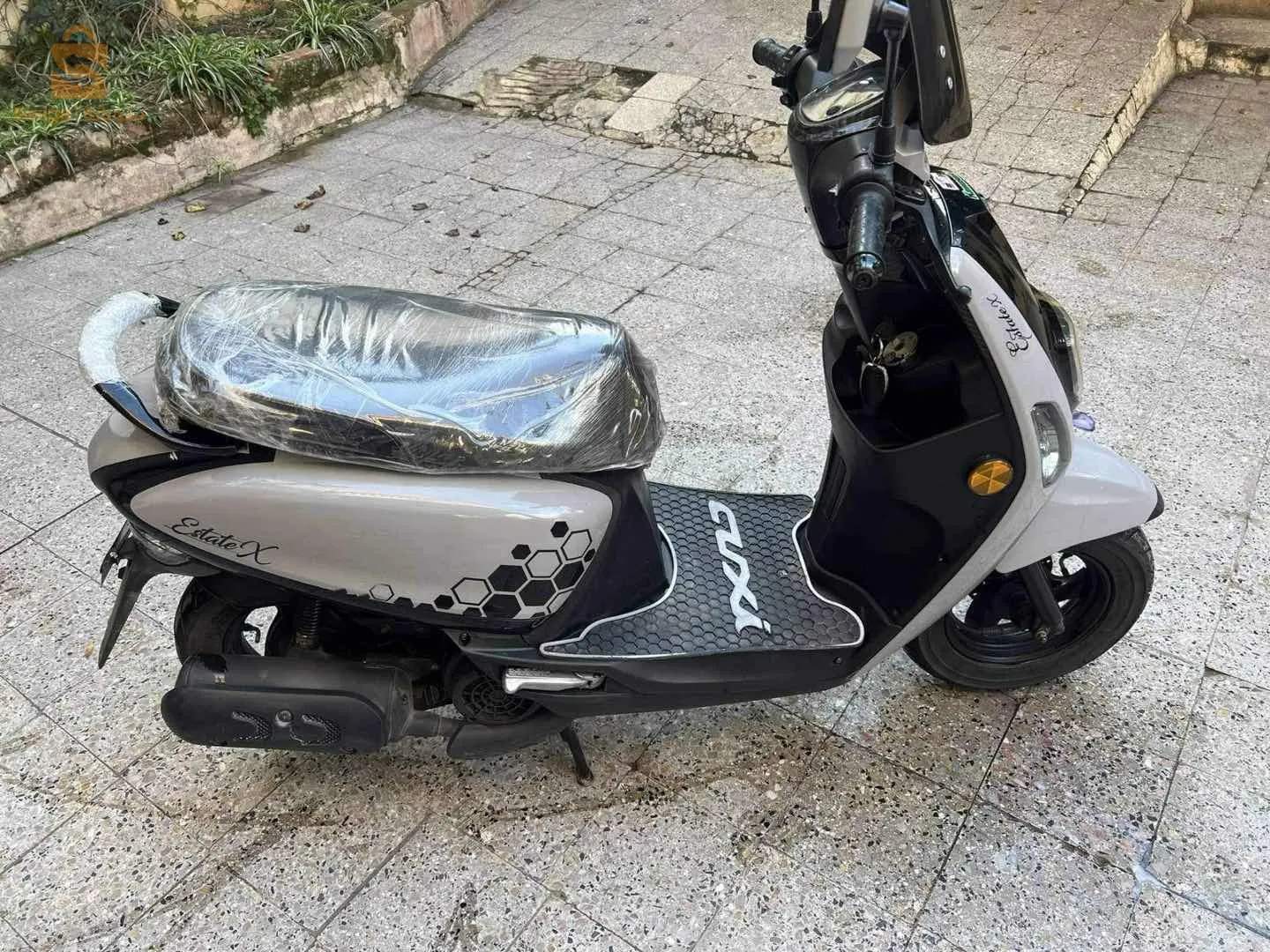 moto Vms estaet x