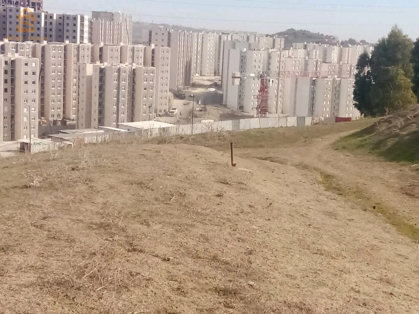 محالمة زيرالدا