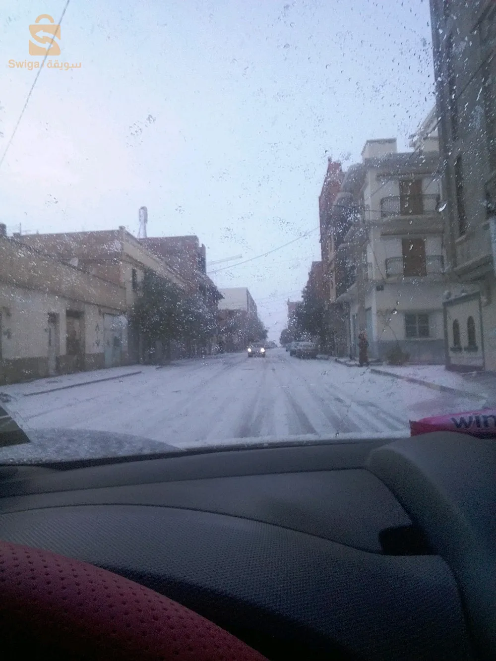 سطيف العلمة