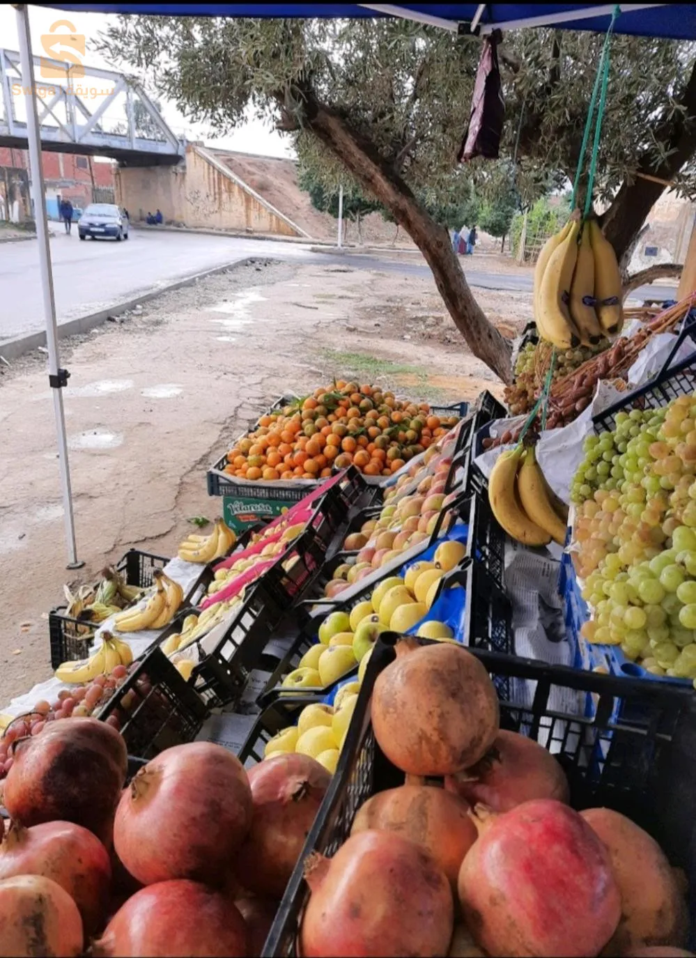 بيت الزعيم للفواكه
