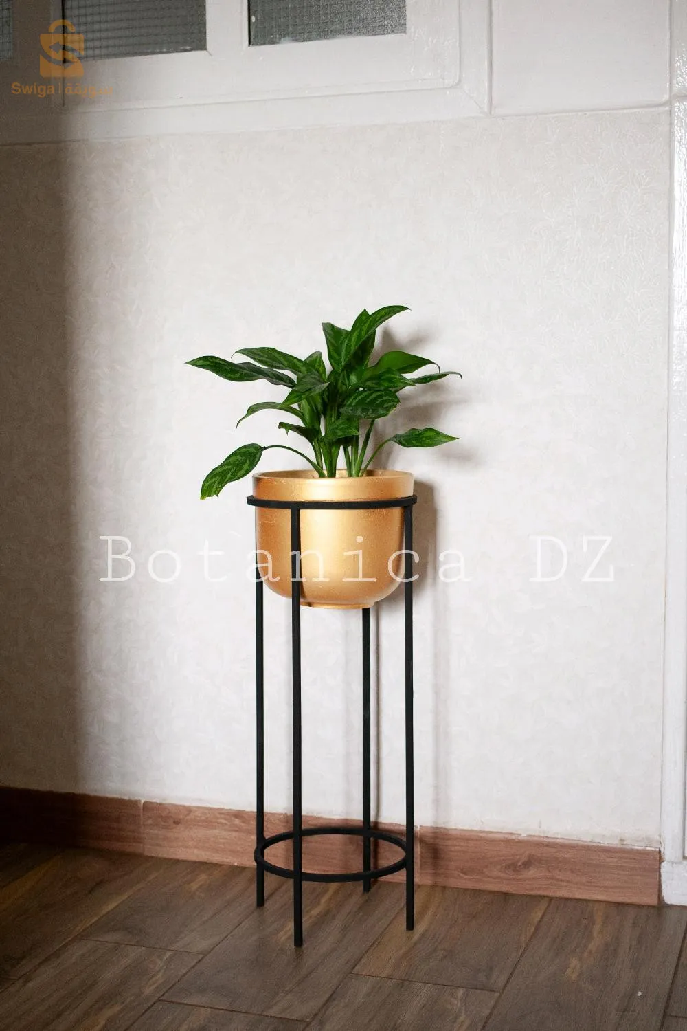 plantes d'intérieur ☘️ artificielles et naturelles avec pot en terre cuite et support en bois ou en fer ❤️