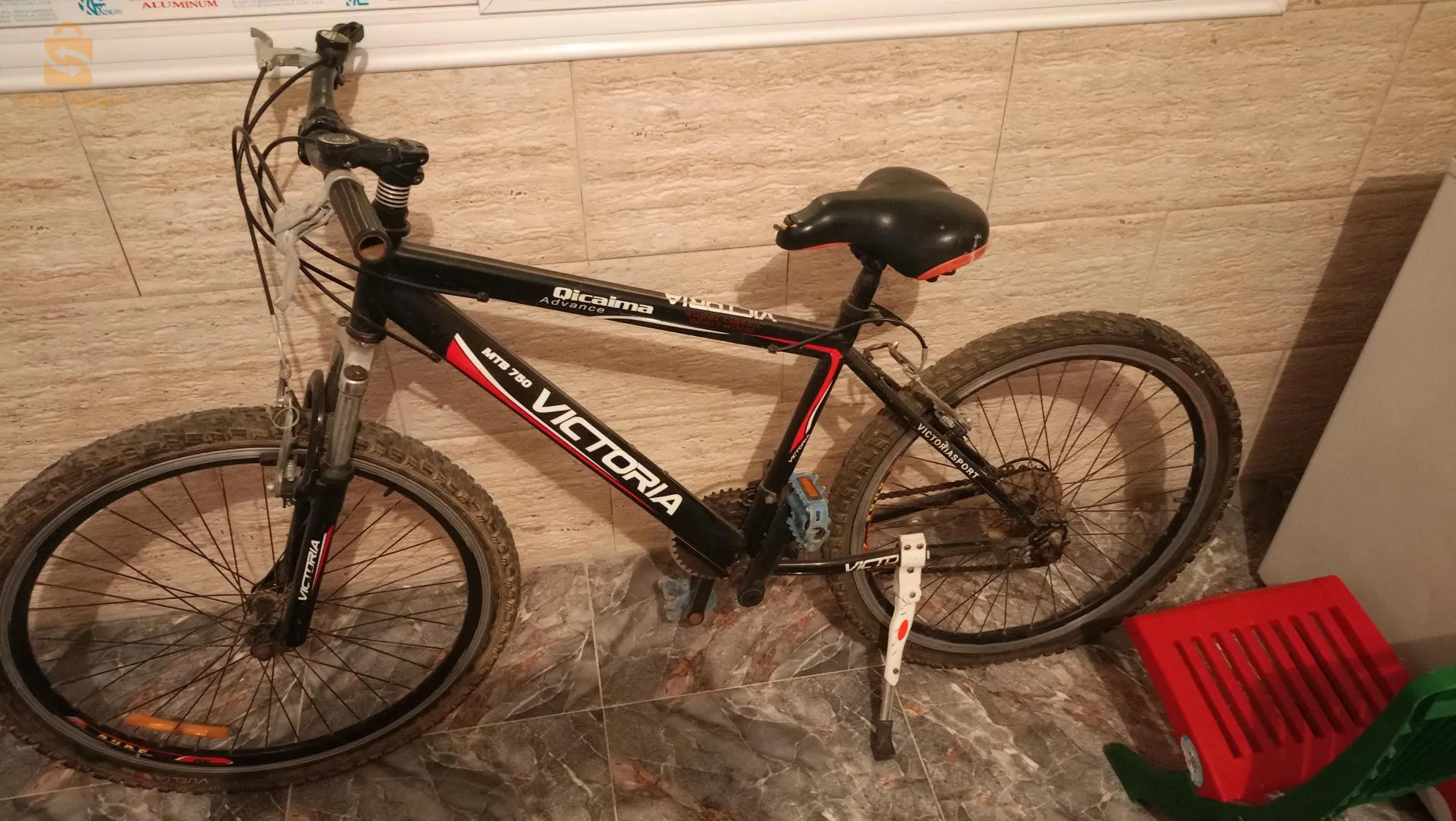 كلشي جديد و شيمانو فيها