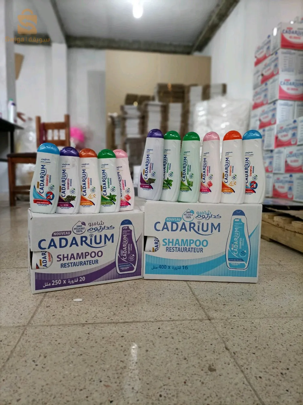 للبيع بالجملة فقط