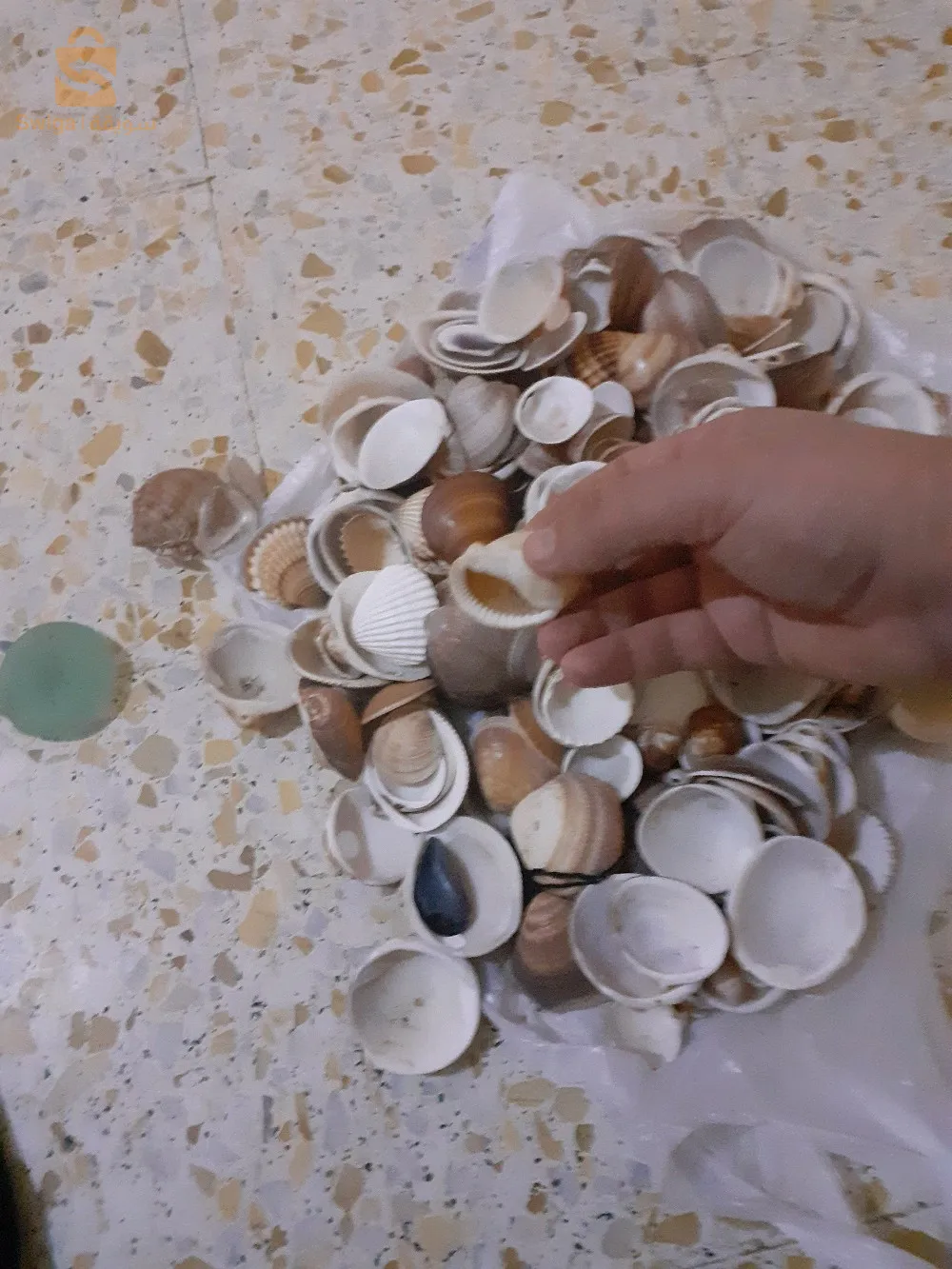 ولاية جيجل بلدية سيدي عبد العزيز