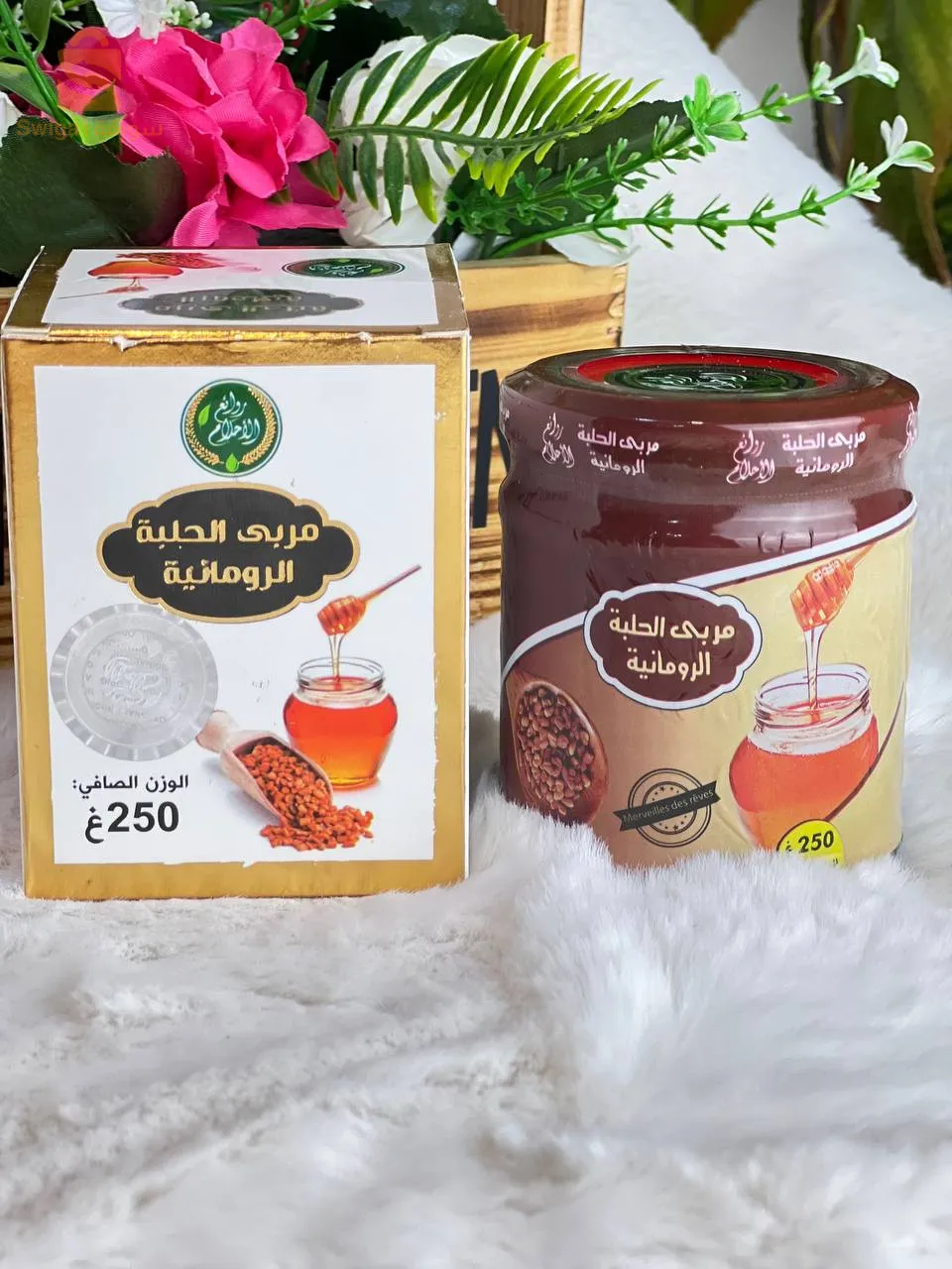 مربى الحلبة الرومانية
