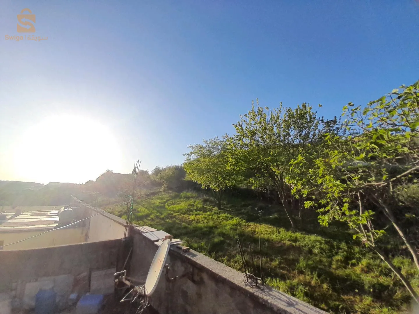 ذراع الزمام