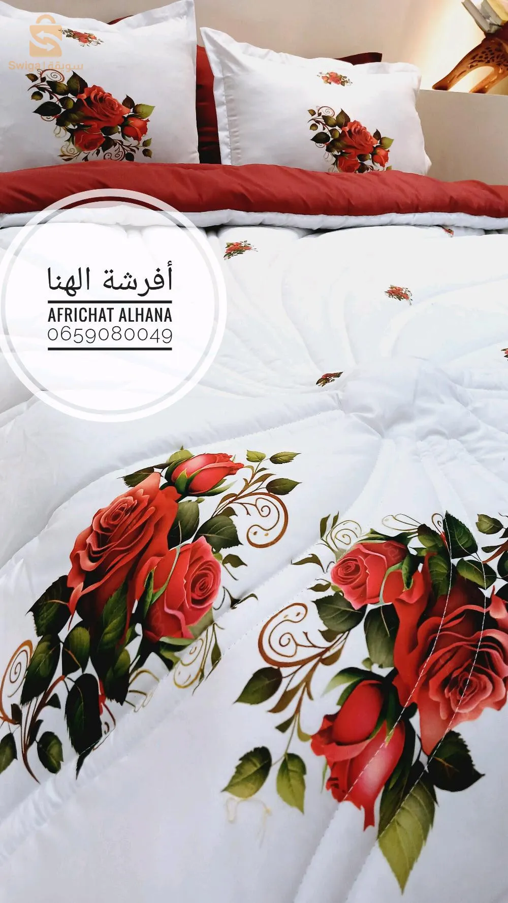 الشلف لاسيتي وكاين توصيل لجميع الولايات