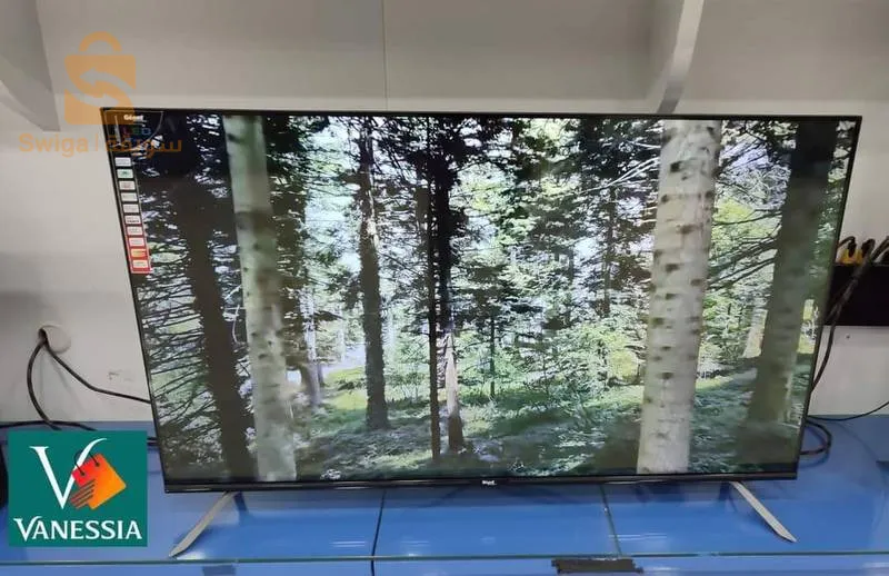 Télévision géant 50p smart