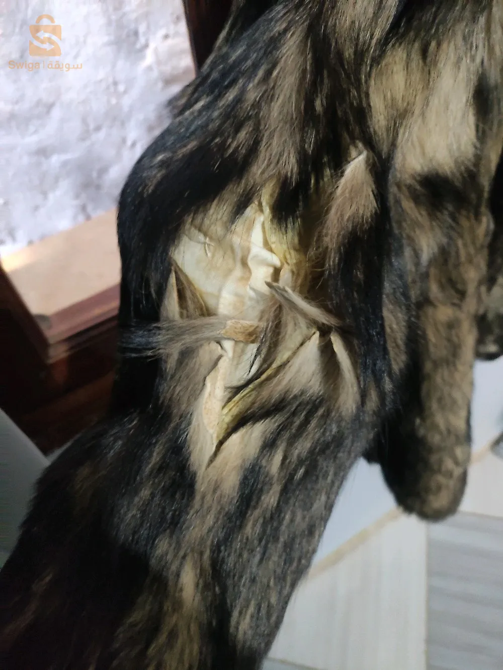 Veste peau de vison original